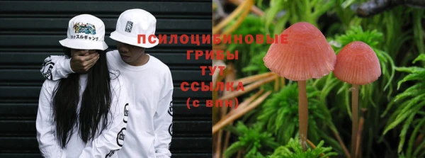 СК Алексин