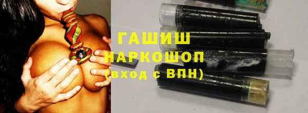 СК Алексин