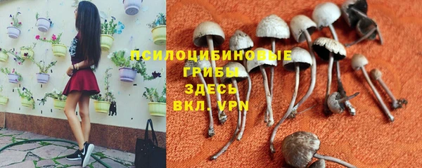 СК Алексин