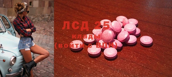 шишки Абаза