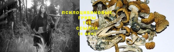 СК Алексин