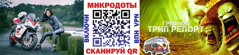 ссылка на мегу сайт Мышкин Псилоцибиновые грибы Cubensis